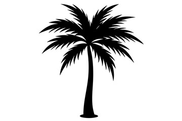 Obraz premium palm trees silhouette