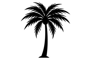 Palm Tree and Coconut Tree Silhouettes on Transparent Background