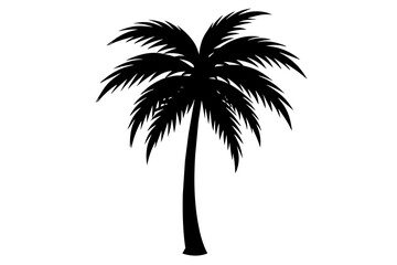 Palm Tree and Coconut Tree Silhouettes on Transparent Background