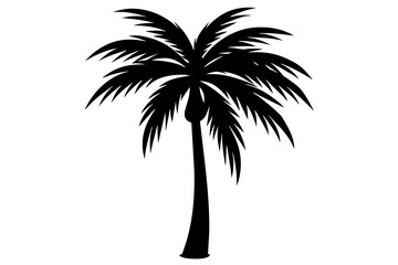 Obraz premium Palm Tree and Coconut Tree Silhouettes on Transparent Background