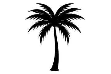 Obraz premium palm tree silhouette
