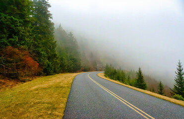A foggy landscape on the famous Blue Ridge Parkway in the Blue Ridge Mountains of North Carolina in...