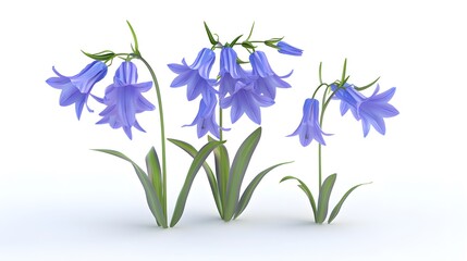 Fototapeta na wymiar Bluebell flowers isolated on white background. 3D illustration. Studio shot.