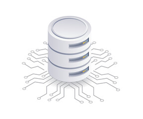 Computer network management database server system, flat isometric 3d illustration
