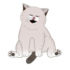 A chubby and adorable cat is fast asleep, exhausted, with bubbles coming out of its nose and drool flowing from its mouth