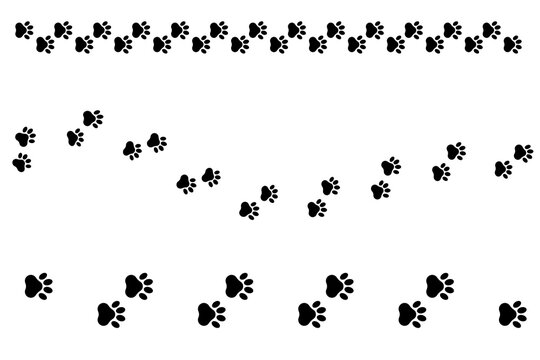 Animal paw prints pattern. Black footprint trail. Pet walking path. Vector illustration. EPS 10.
