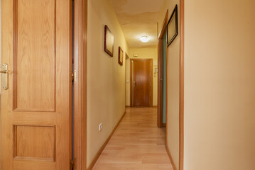 Hallway of an apartment with wooden floors and cream-colored walls