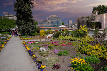 Vibrant Garden Pathway Leading to a Glasshouse, Krakow, Poland