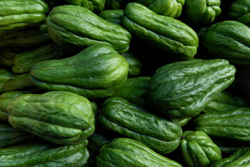 Chayote or Sicyos edule, also known as christophine, mirliton and choko - obrazy, fototapety, plakaty
