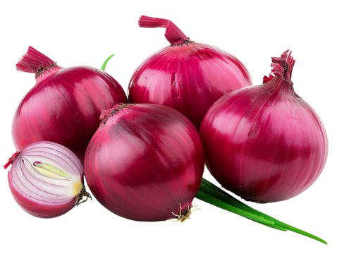 red onions with a leaf, seen from the front. png file of isolated cutout object with white background