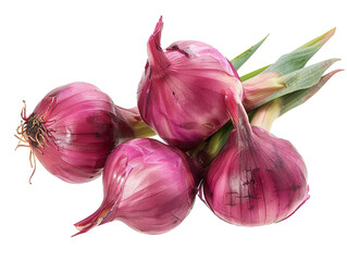 Shallot with a leaf, seen from the front. png file of isolated cutout object with white background