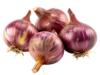 Shallot with a leaf, seen from the front. png file of isolated cutout object with white background