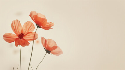 poppy flowers in soft color and blur style on mulberry paper texture for background