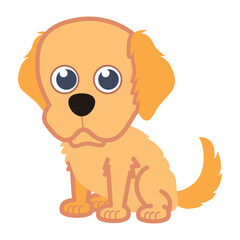 Long hair golden retriever