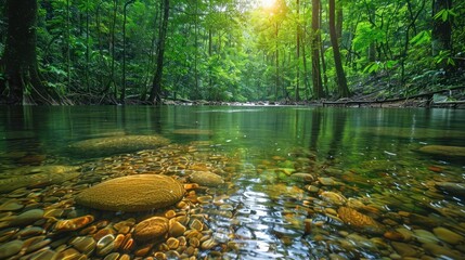 forest river in autumn in eastern europe - obrazy, fototapety, plakaty