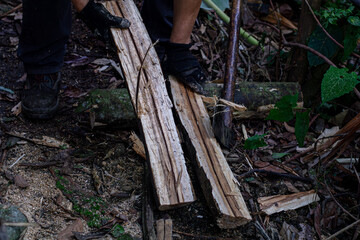 Fototapeta premium Man holding heavy Axe in lumberjack hands chopping or cutting wood trunks