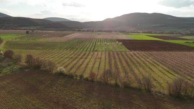 Aerial shot of farms during sunny afternoon | Farming Land | Agriculture