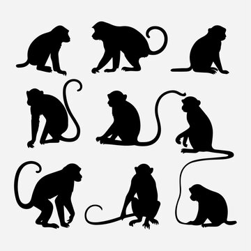 monkey silhouette collection