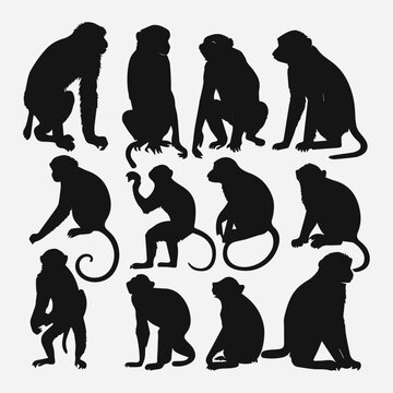 monkey silhouette collection