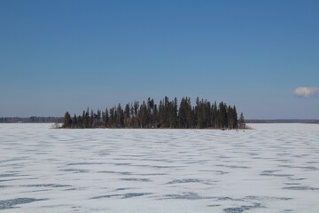 Obraz premium Frozen Island, Elk Island National Park, Alberta