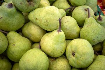 A pile of green pear fruits. Fruit background and wallpaper