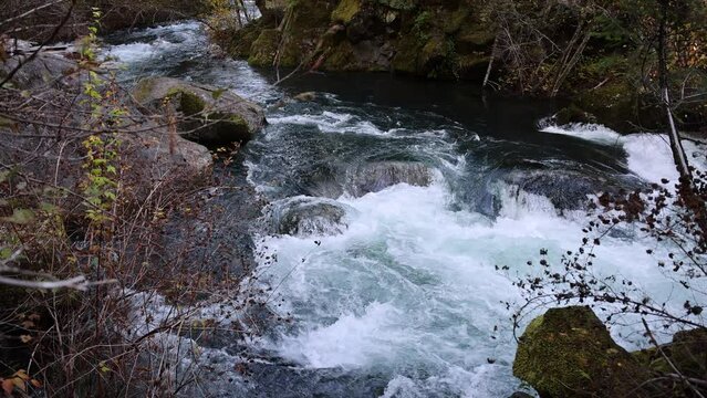 Section of the Umpqua river with a strong current, crashing against a rocky shore. The water is white and frothy, with waves crashing against the rocks. The scene is dynamic and powerful.