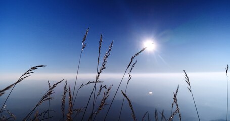 Grass field sunset Beautiful landscape with grasses meadow on sunlight. Countryside heaven amazing field scene grass meadow on sunbeam nature dawn. Sunset dawn landscape vibrant scenery horizontal