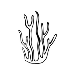 Sea plant in doodle style. Vector single hand drawn sea coral.
