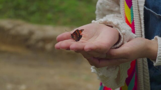 butterfly spreading wings, resting on palm of a hand in nature, 