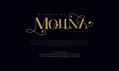 Molina premium luxury elegant alphabet letters and numbers. Vintage wedding typography classic serif font decorative vintage retro. Creative vector illustration