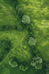 Schilderijen op glas Aerial view of green field with trees for background © grey