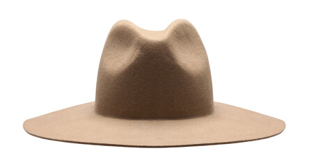 Brown Felt Cowboy Hat - 772703552