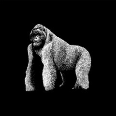 Gigantopithecus hand drawing vector isolated on black background.