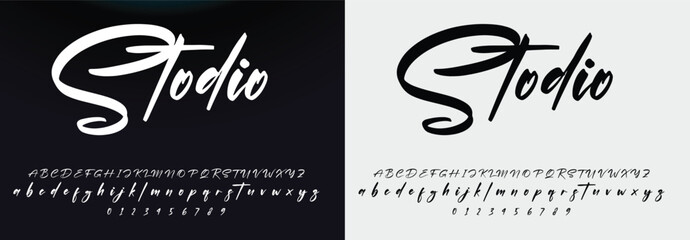 signature Font Calligraphy Logotype Script Brush Font Type Font lettering handwritten