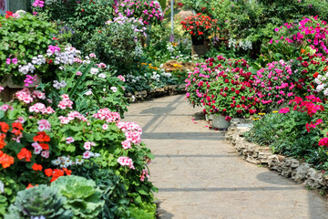 Blank walkway in colorful flower garden natural outdoor summer sunshine on background