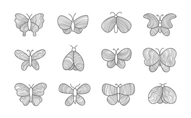 Butterfly linear element. Decorative tattoo design. Collection of individual insects decor.