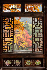 Beautiful autumn foliage view through the window from a traditional wooden Chinese house
