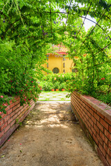 Scenic green pathway in the Kek Lok Si Temple, Penang - 772726338