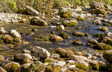 shallow riverbed with a rocky bottom on a sunny day, autumn golden hue in the water.