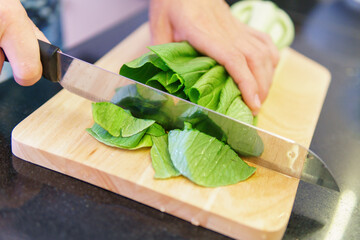 Woman hands cutting fresh green bok choy (pak choy) - 772727137