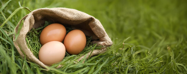 Brown eggs lying in a linen bag on fresh green grass. Eco-friendly storage container. Healthy food concept for banner with copy space.