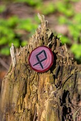 Rune Odal (Othala) carved from wood on an old stump - Elder Futhark