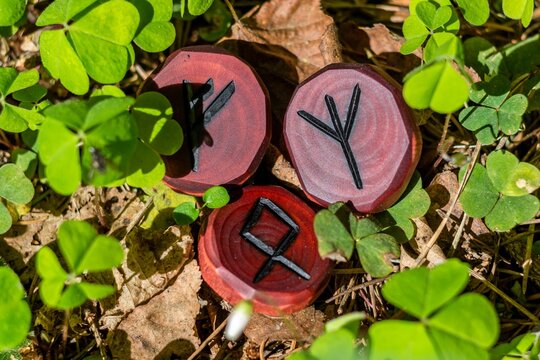 Runes Fehu, Algiz (Elhaz) and Odal (Othala) carved from wood on the grass - Elder Futhark