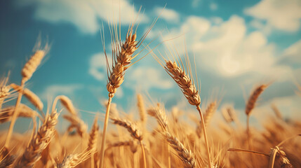field of wheat , generative ai