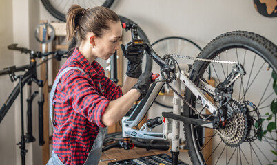 Woman is performing maintenance on mountain bike. Concept of fixing and preparing the bicycle for the new season - 772736784