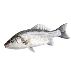 Obraz premium fresh potatoes five flying