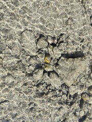 underwater natural background. sun glare on clear clean water. seabed as a natural background