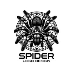 Obraz premium Spider Vector Logo Design