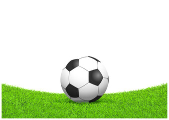 芝生の上にあるサッカーボール