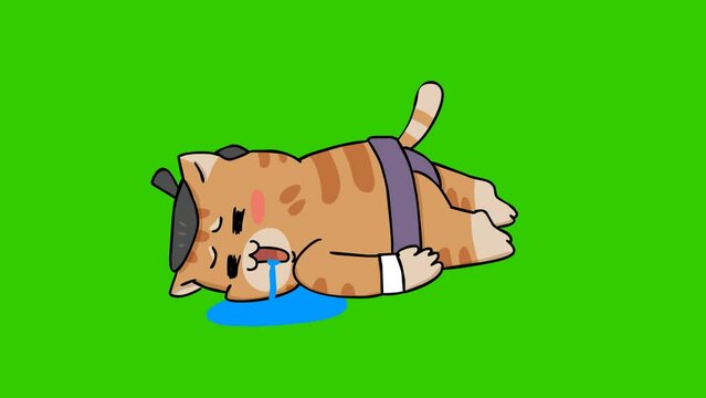 tired animation, sumo cat on green screen